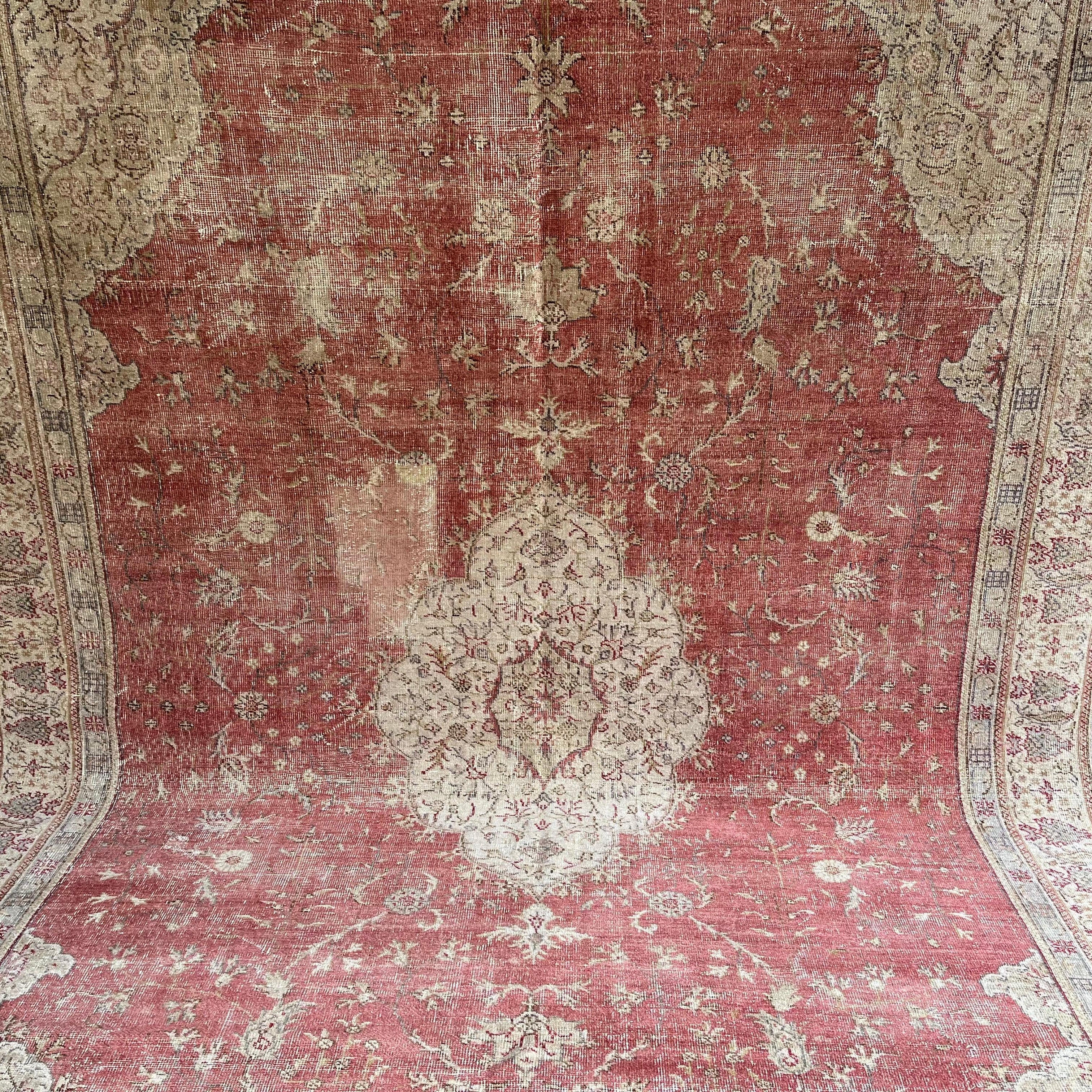 Aoife 8'7'' x 11'6''