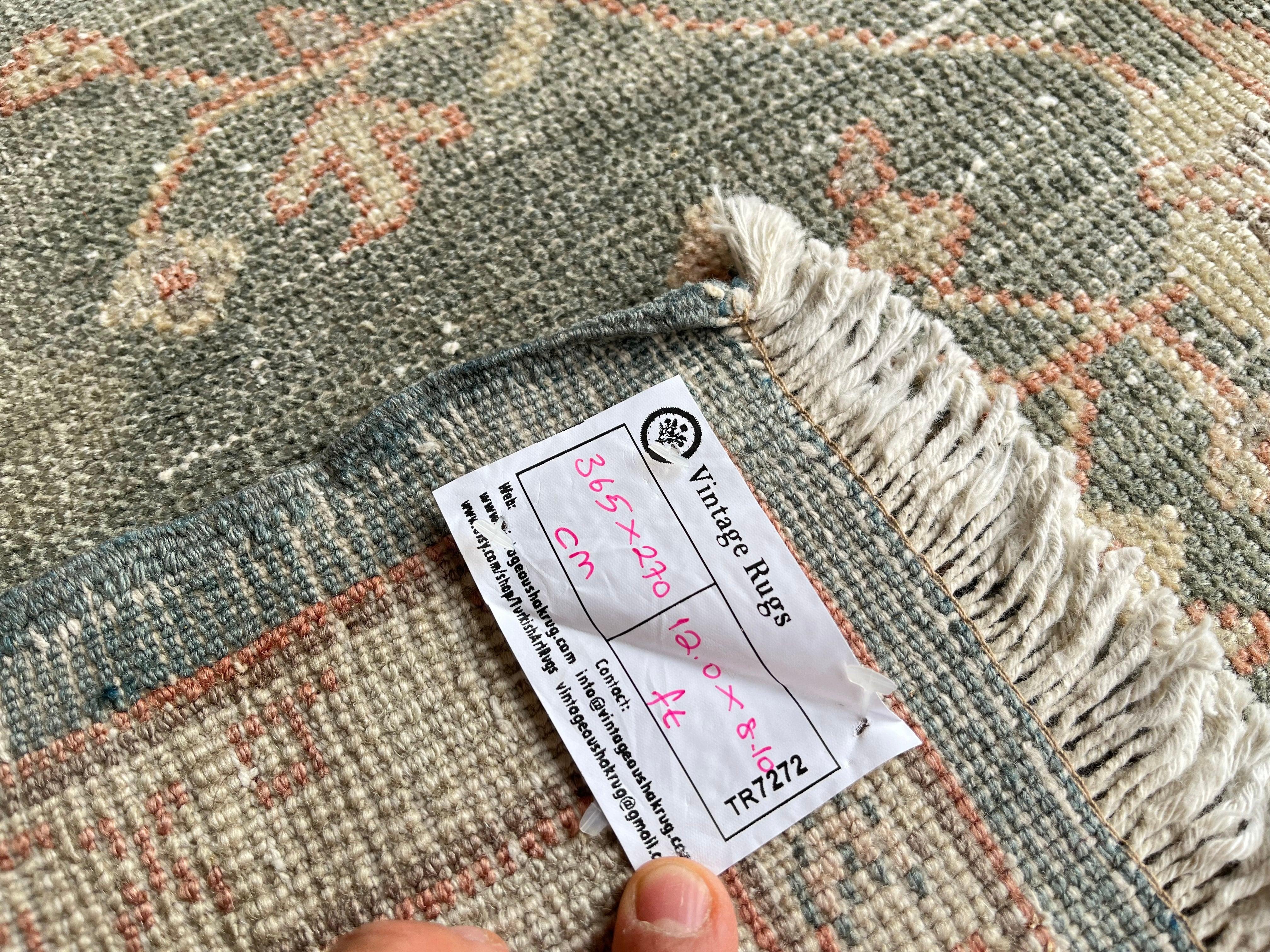 Daniyal 8'10'' x 12'