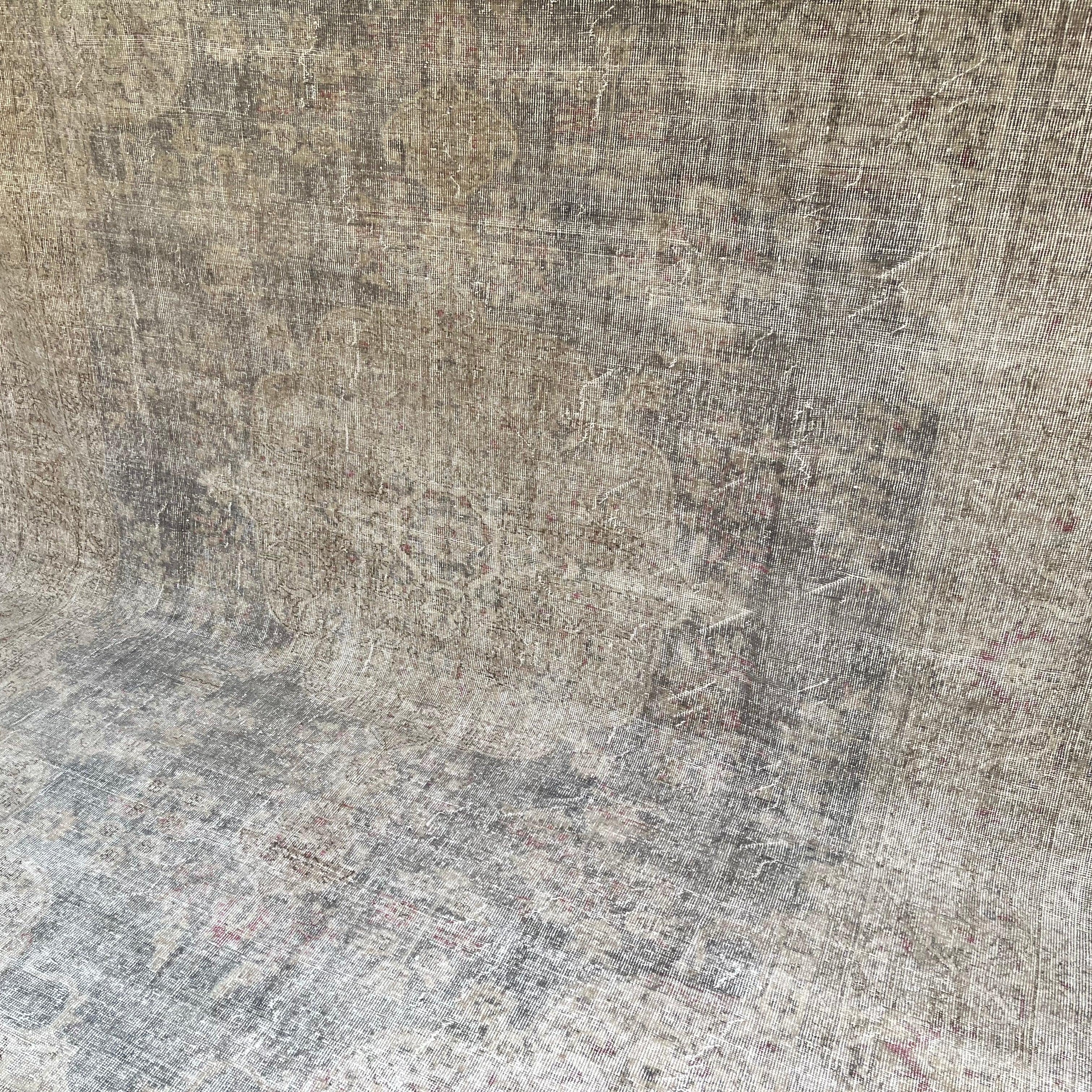 Jane 8'1'' x 11'1''