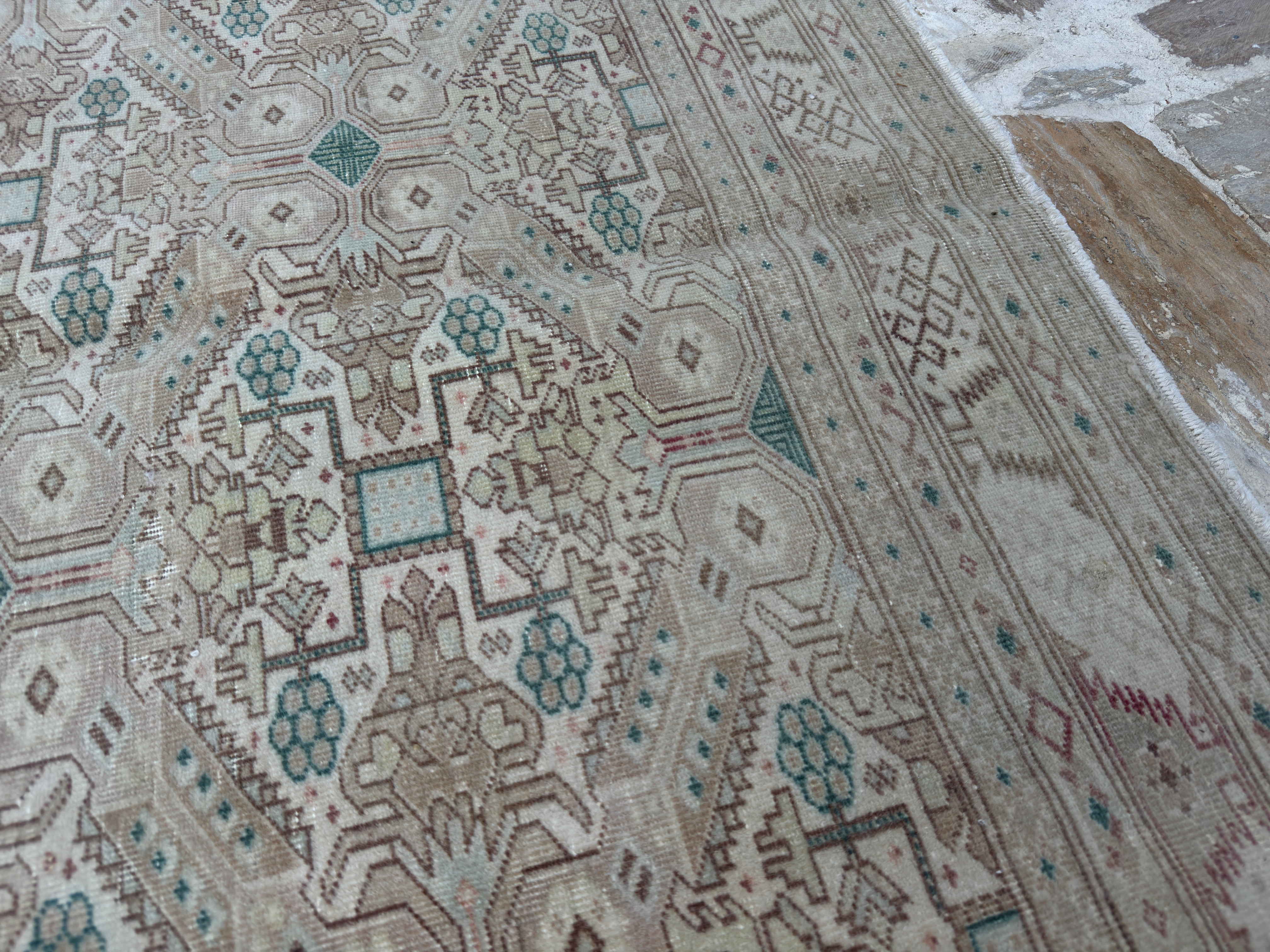 Lynnet 8’4” x 12’5”