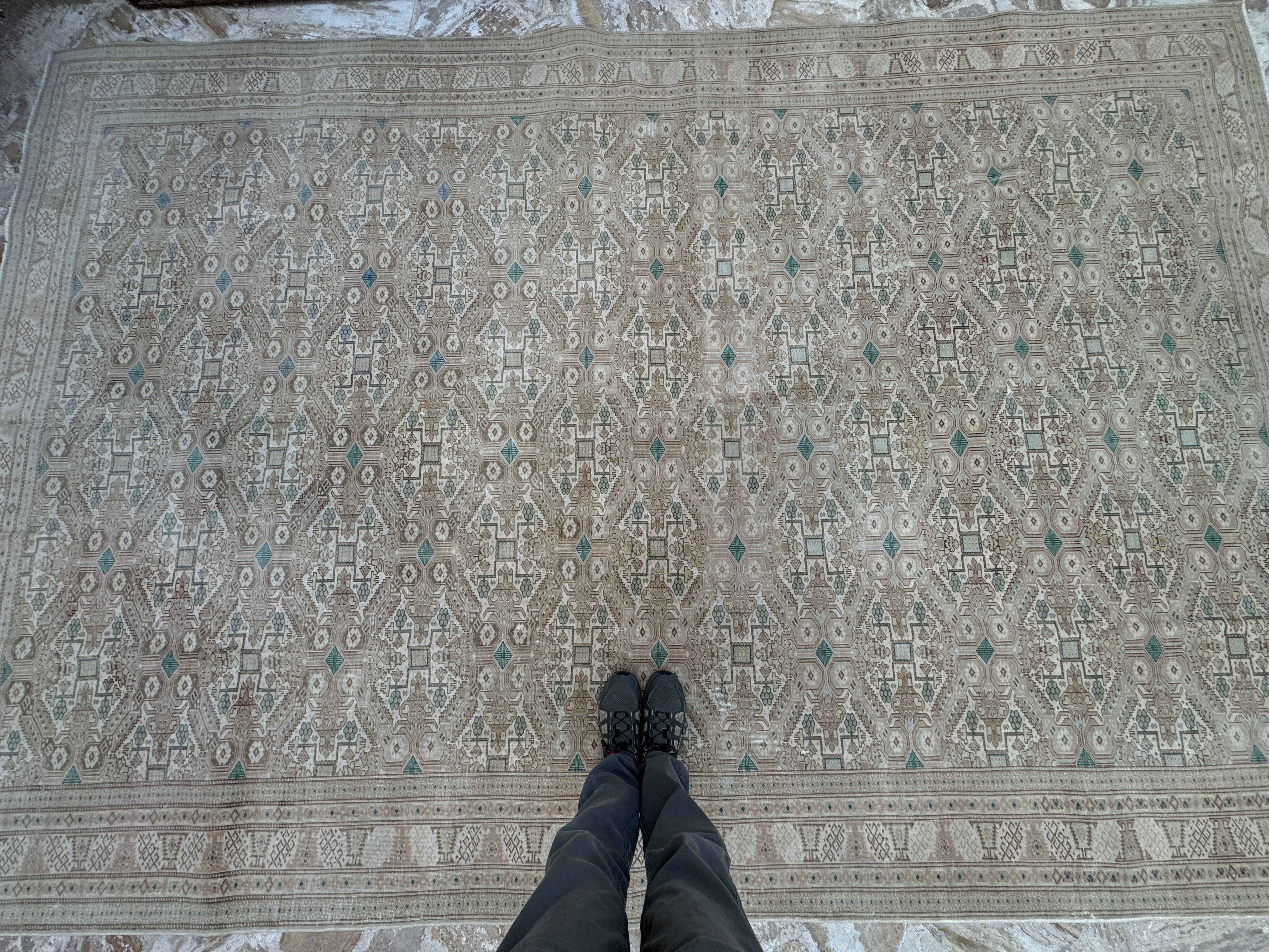 Lynnet 8’4” x 12’5”