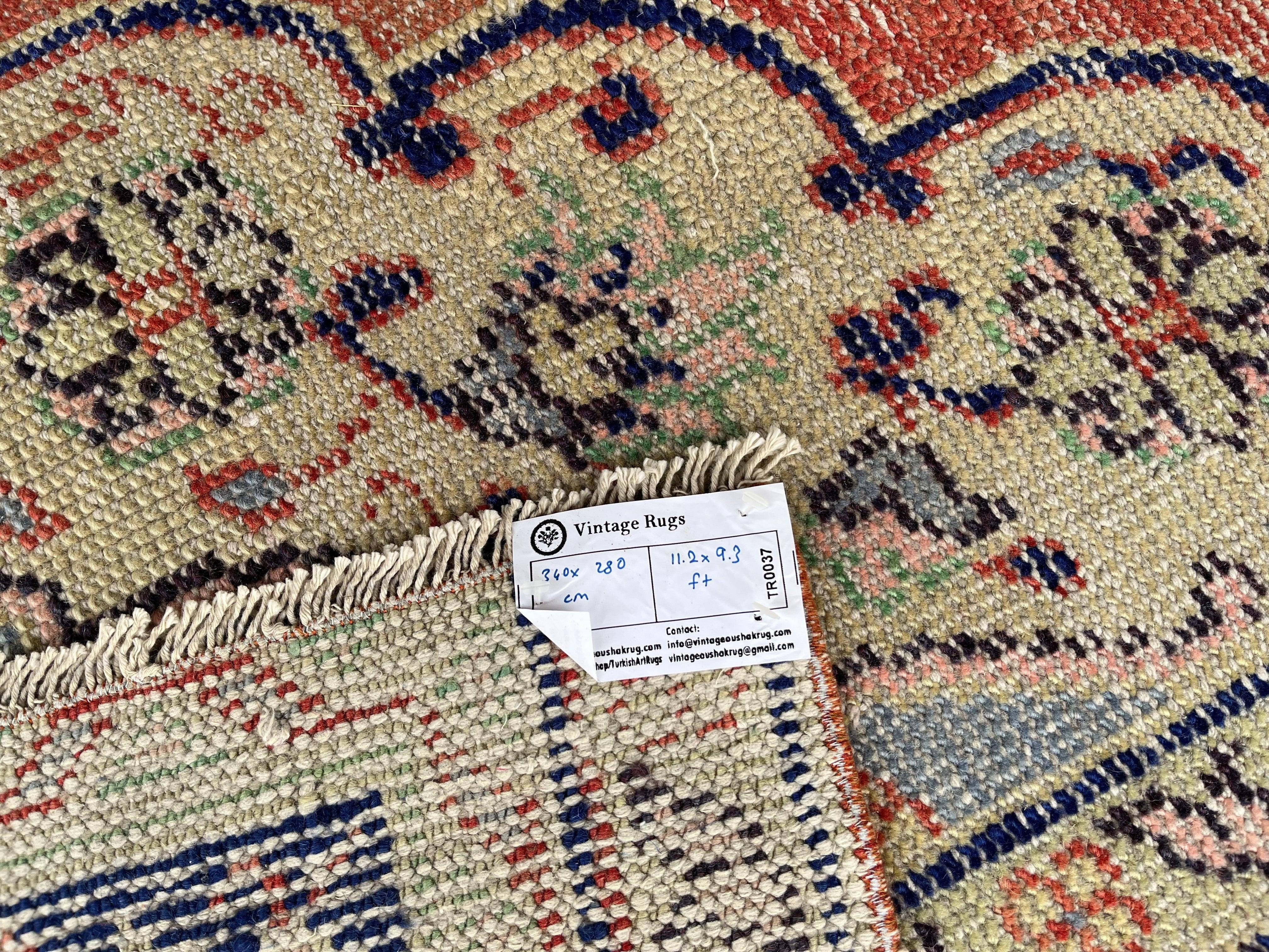 Patrick 9'3'' x 11'2''