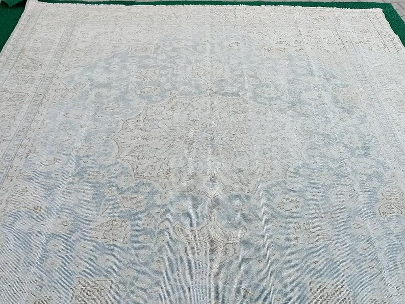 Salvador 8'10'' x 12'6''