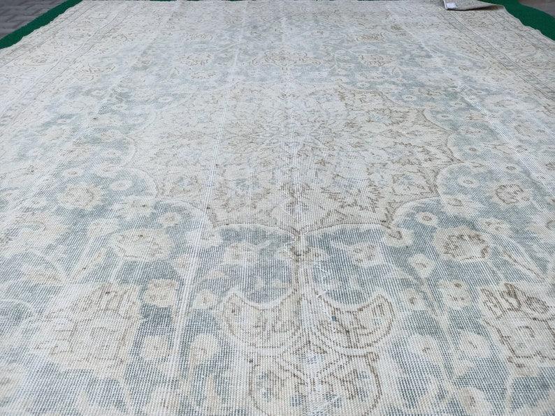 Salvador 8'10'' x 12'6''