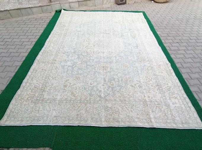 Salvador 8'10'' x 12'6''