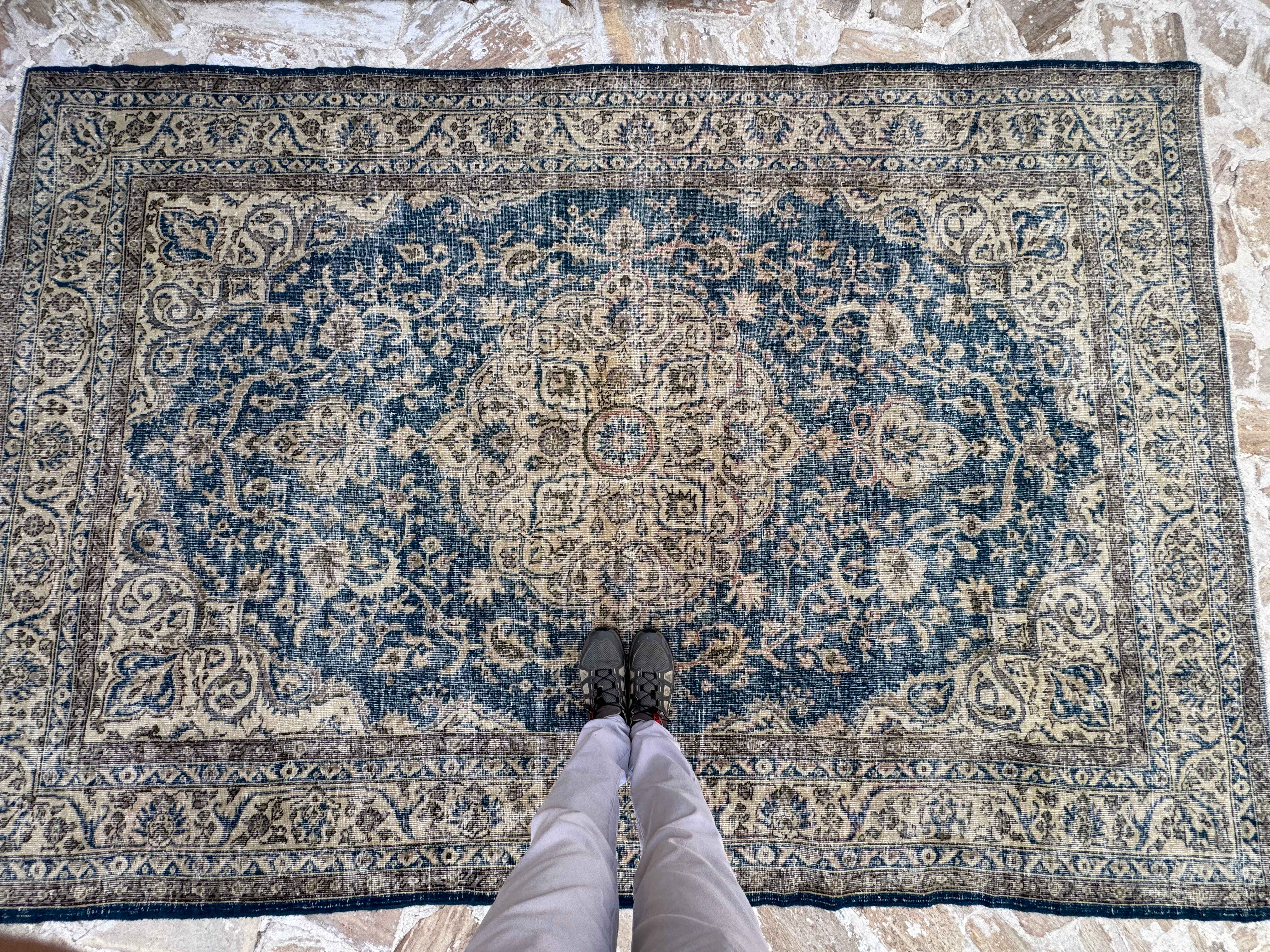 Shel 6’9” x 10’