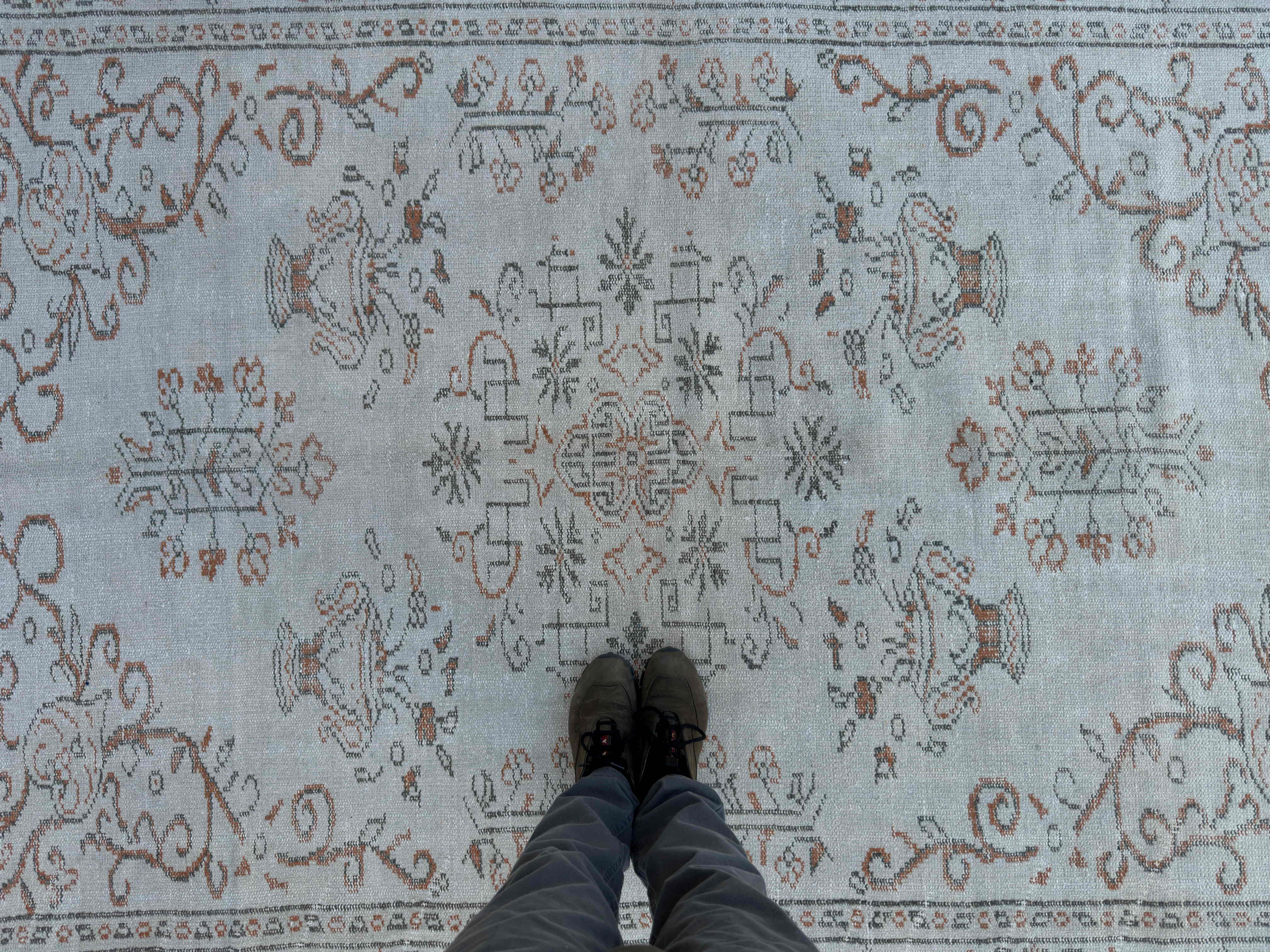 Sophia 6'2'' x 8'10''