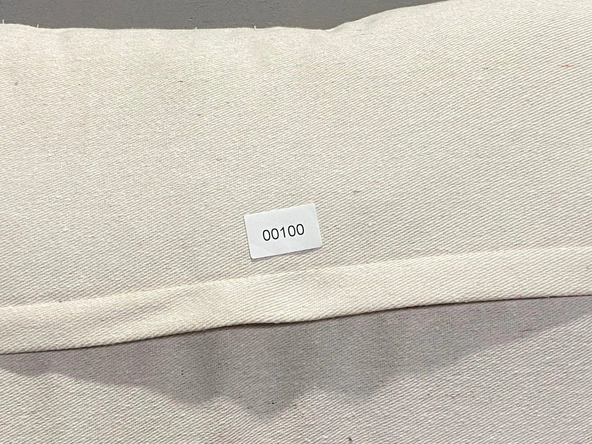 Throw Pillow 16x24 inch #00100