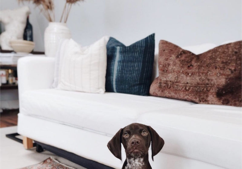 Cushion vs Throw Pillow: What’s the Difference and Which One Should You Choose?
