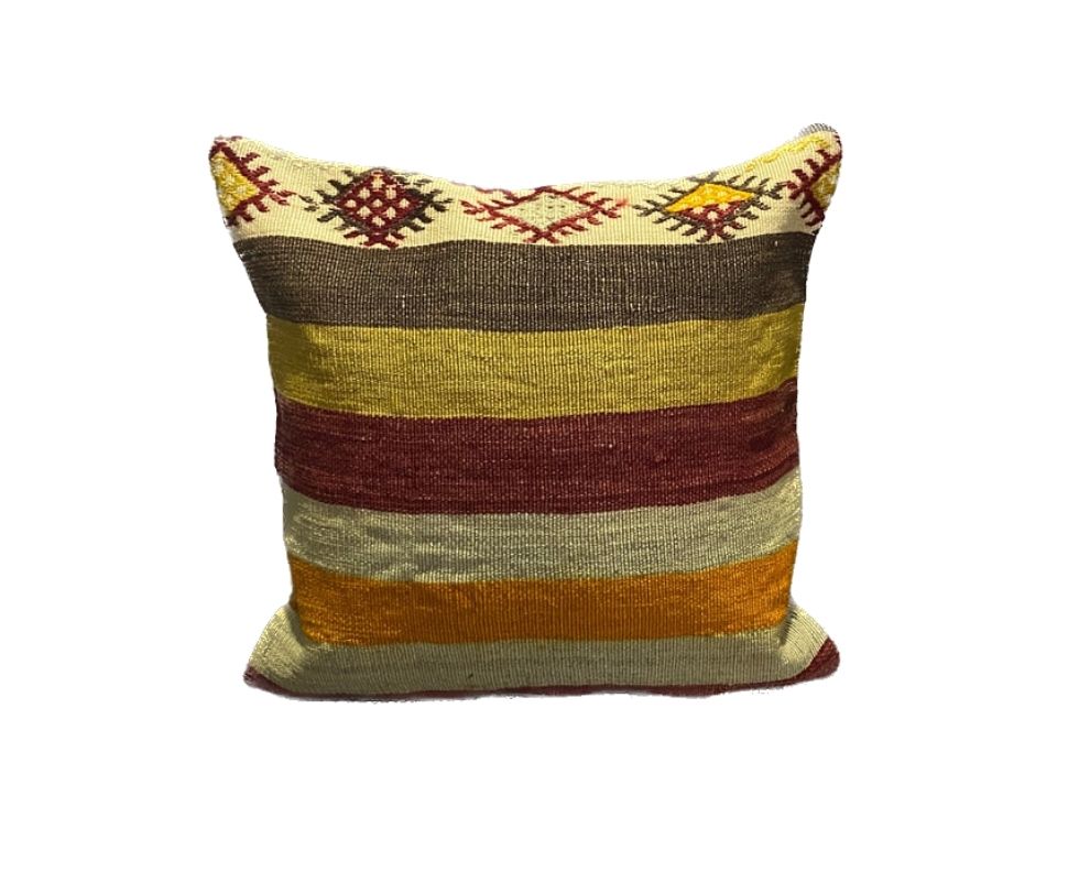 16x16 Throw Pillows