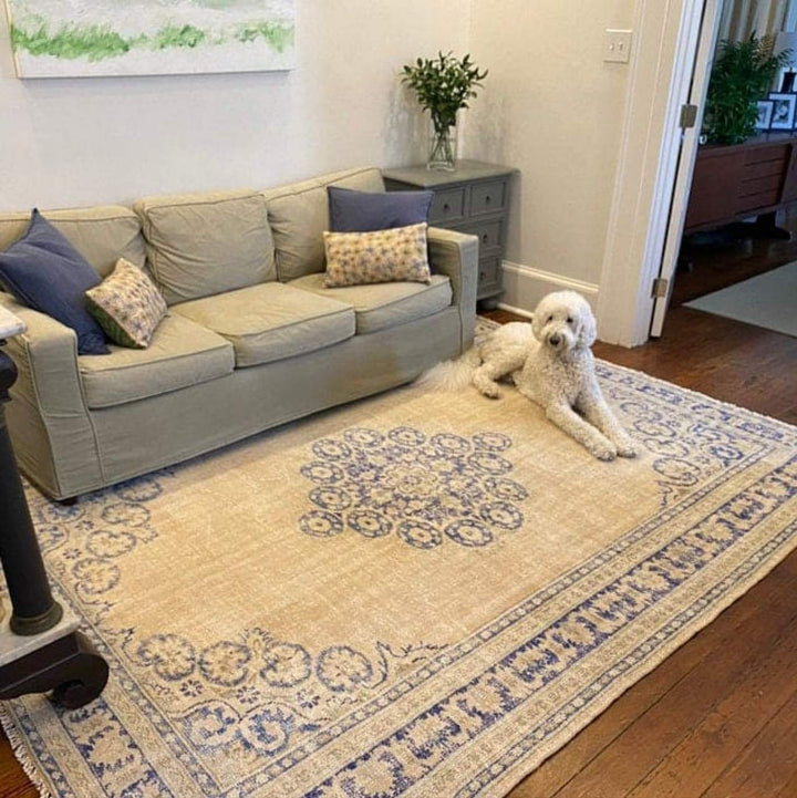 Large vintage rugs