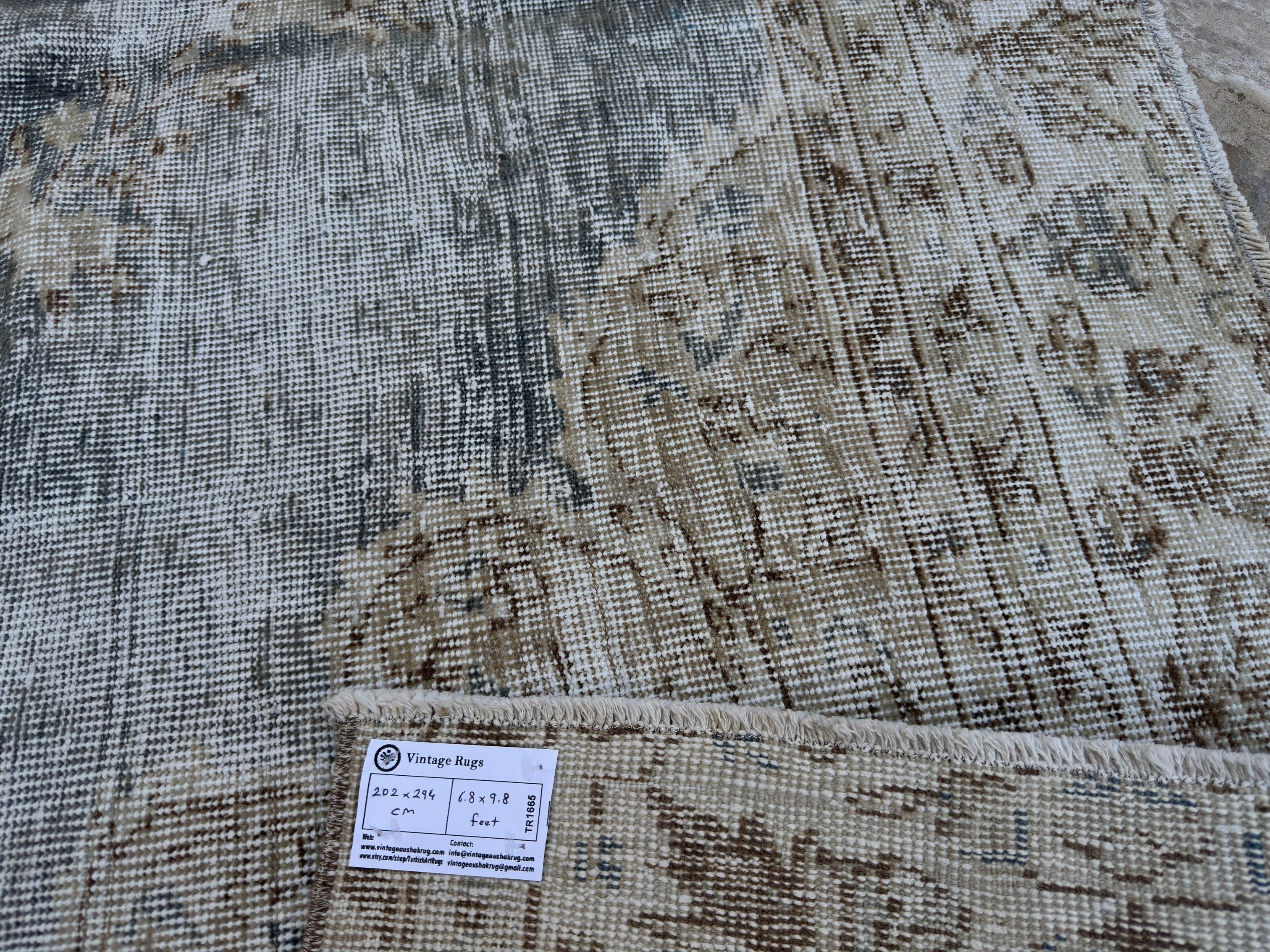 Delinda 6’8” x 9’8”