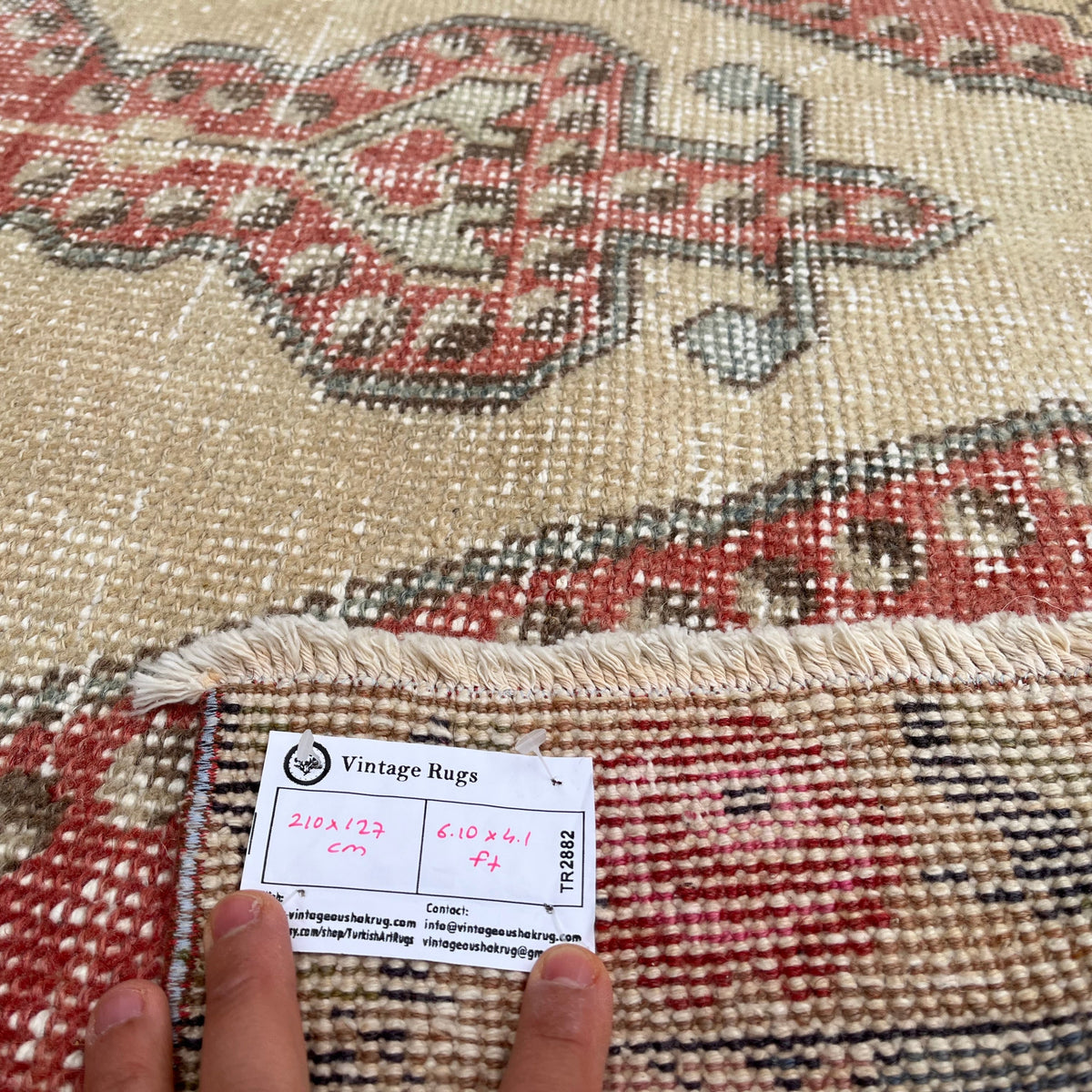 Close-up of the red Turkish handknotted rug showing traditional details, hand-knotted weave, wool and cotton and low pile.
