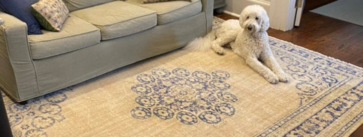Neutral vintage rugs
