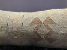 Close-up of the colorful Turkish throw pillow showing traditional details, low pile.