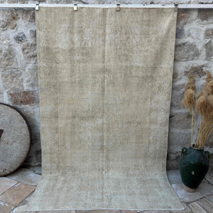 Arnav - Vintage Medallion Rug
